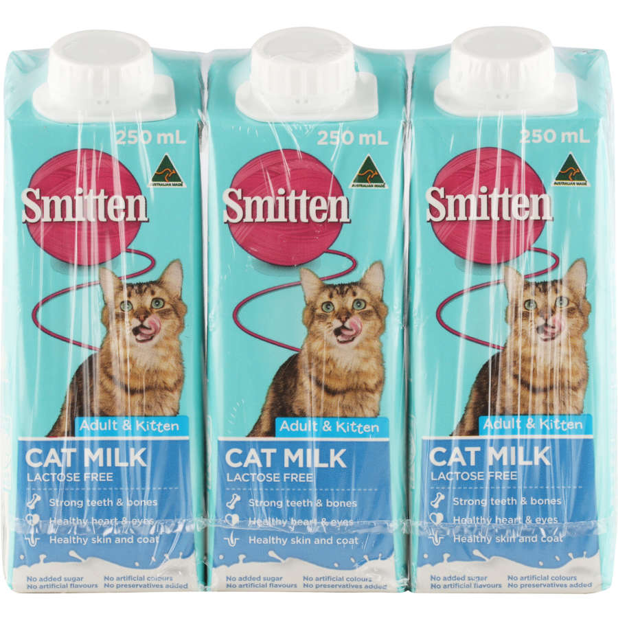 Cat sip milk reviews